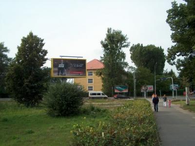 s45.jpg