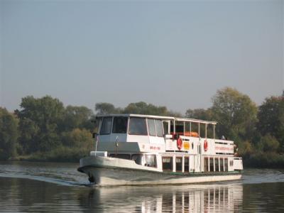 zp10.jpg