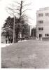 Kliknij, aby zobaczyć. x286_t1.jpg